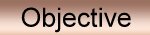 objective
